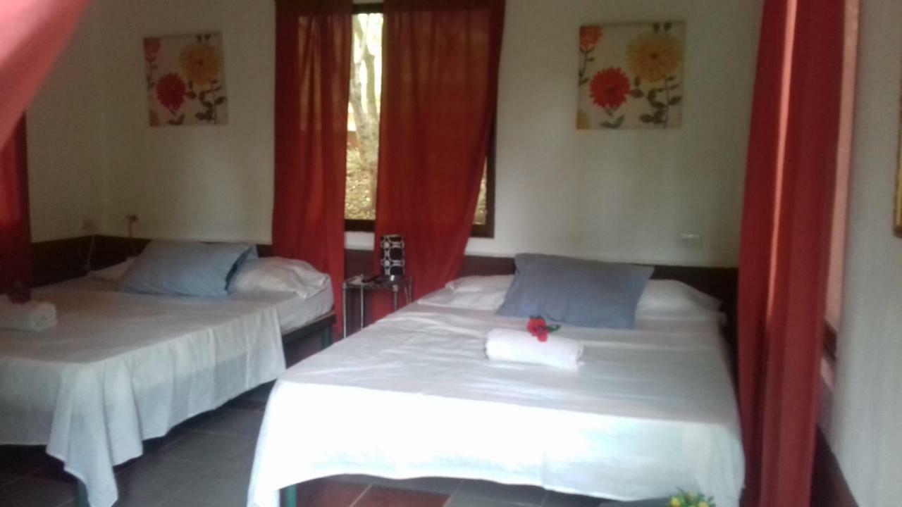 De Monos, Casitas Equipadas En Guanacaste Apartment