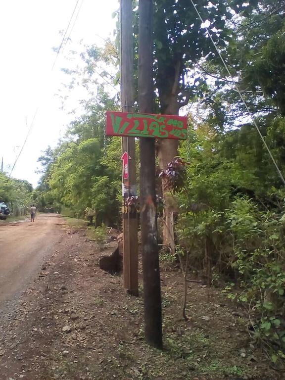 De Monos, Casitas Equipadas En Guanacaste *