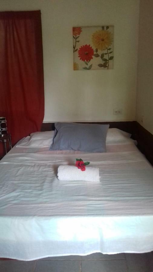 De Monos, Casitas Equipadas En Guanacaste * Matapalo (Santa Cruz)